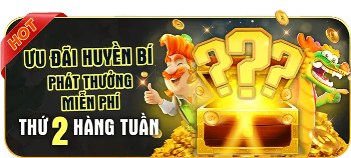 Email Hỗ Trợ